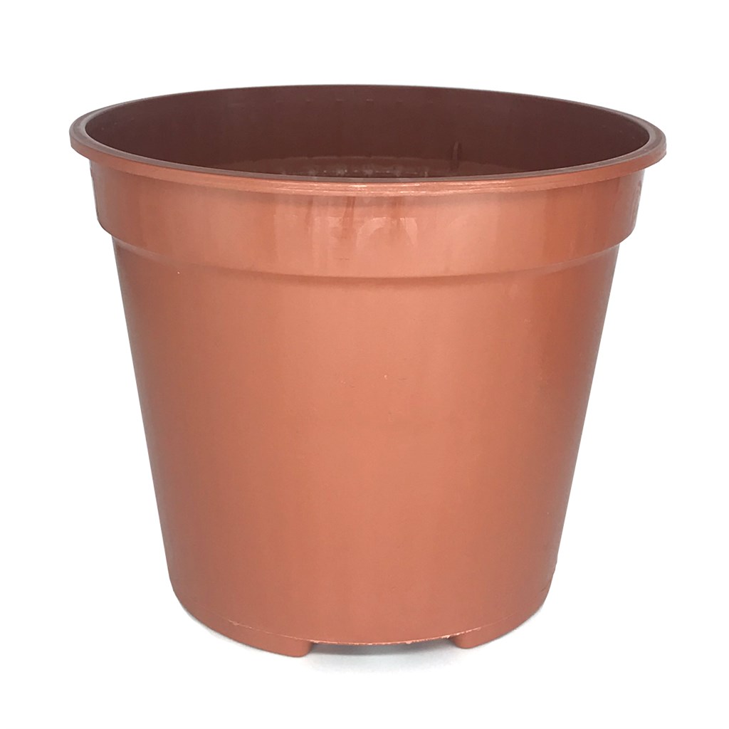VASO QUICK NIR D-TECT - Ø CM 14 - COLOR COCCIO